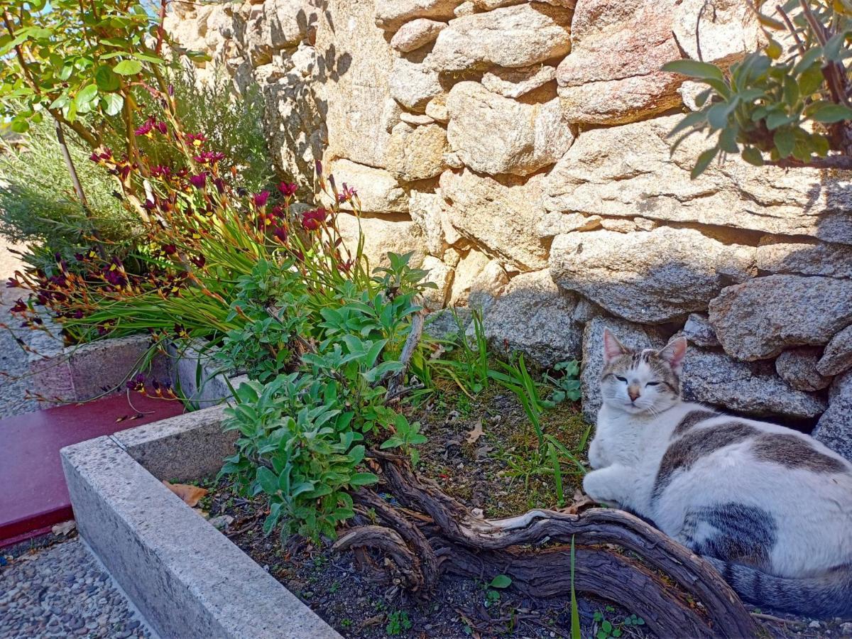 Jardim Da Rosa Vendégház Monção Kültér fotó
